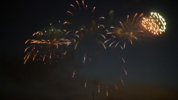 Indah kembang api menunjukkan di langit malam — Stok Video