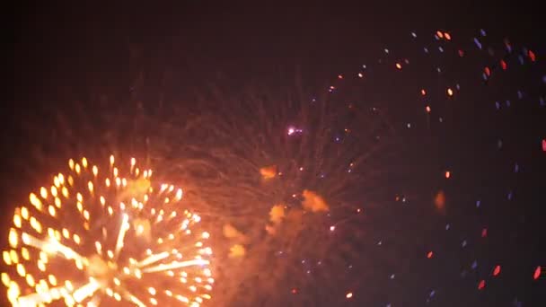 Belo show de fogos de artifício no céu noturno — Vídeo de Stock