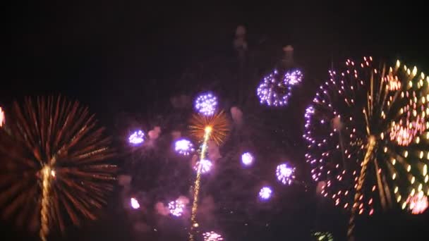 Hermoso espectáculo de fuegos artificiales en el cielo nocturno — Vídeos de Stock