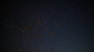 gece gökyüzünde güzel havai fişek gösterisi