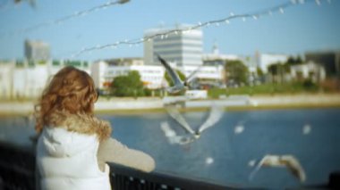 Genç kadın bir kuş besleme bir martı nehir yeme