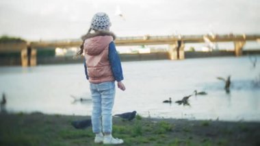 Genç bir kadın bir gölde besleme kuğu ve kışın kuş besleme ördekler