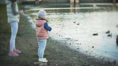 Genç bir kadın bir gölde besleme kuğu ve kışın kuş besleme ördekler