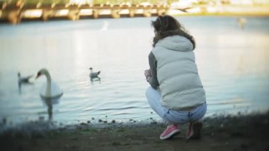 Genç bir kadın bir gölde besleme kuğu ve kışın kuş besleme ördekler