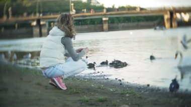 Genç bir kadın bir gölde besleme kuğu ve kışın kuş besleme ördekler