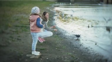 Genç bir kadın bir gölde besleme kuğu ve kışın kuş besleme ördekler