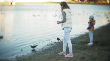 Genç bir kadın bir gölde besleme kuğu ve kışın kuş besleme ördekler