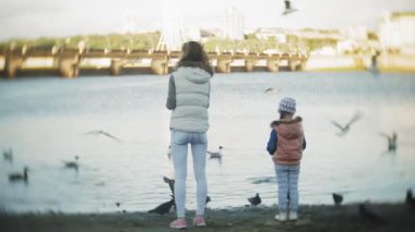 Genç bir kadın bir gölde besleme kuğu ve kışın kuş besleme ördekler