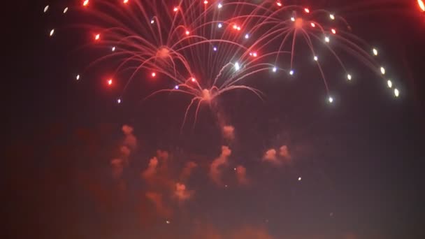 Beau spectacle de feux d'artifice dans le ciel nocturne — Video