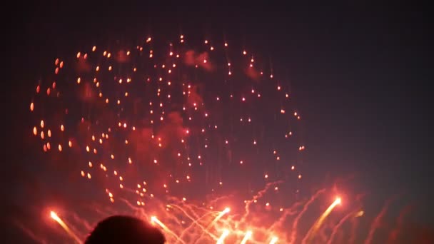 Fuegos artificiales familiares irreconocibles. La gente está viendo fuegos artificiales 4k — Vídeos de Stock