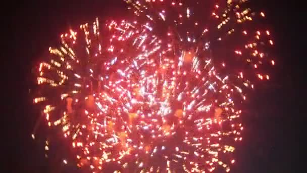 Belo show de fogos de artifício no céu noturno — Vídeo de Stock