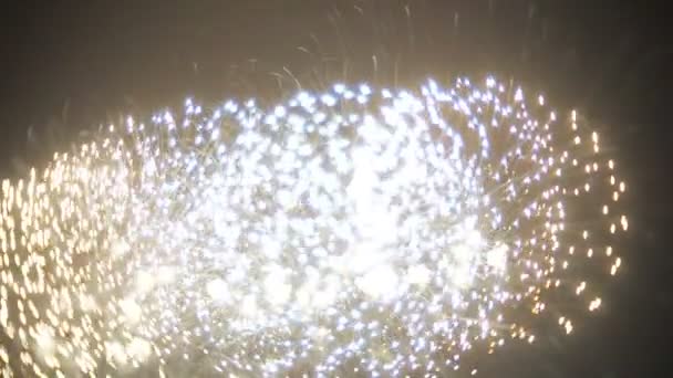 Schönes Feuerwerk am Nachthimmel — Stockvideo