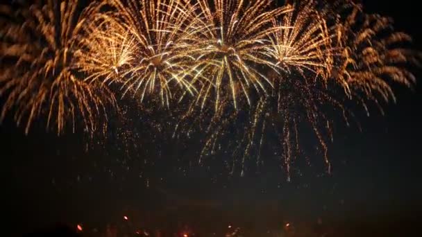 Mooie vuurwerkshow in de nachtelijke hemel — Stockvideo