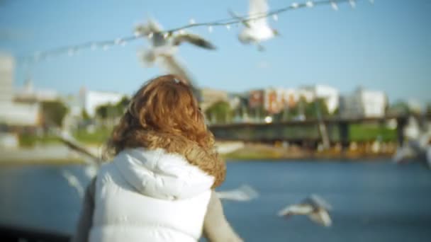 Молодая женщина, питающаяся рекой чайка, кормит птицу — стоковое видео