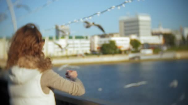 Mujer joven comiendo un río de gaviotas alimentando a un pájaro — Vídeos de Stock