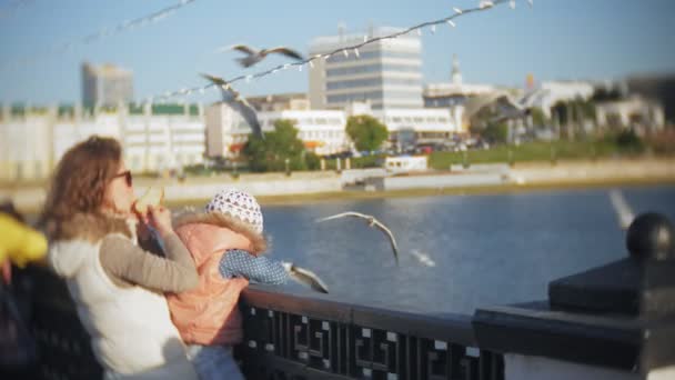 Jonge vrouw en haar dochter een rivier van de meeuw een vogel voeding eten — Stockvideo