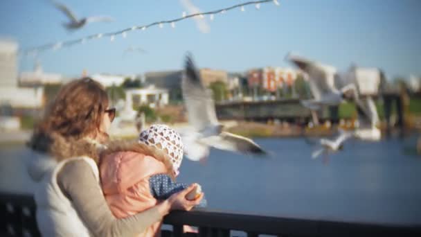 Genç bir kadın ve kızı bir kuş besleme bir martı nehir yeme — Stok video