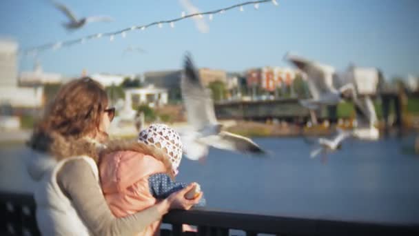 Mujer joven y su hija comiendo un río de gaviotas alimentando a un pájaro — Vídeos de Stock