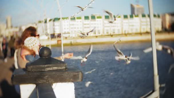 Mujer joven y su hija comiendo un río de gaviotas alimentando a un pájaro — Vídeo de stock