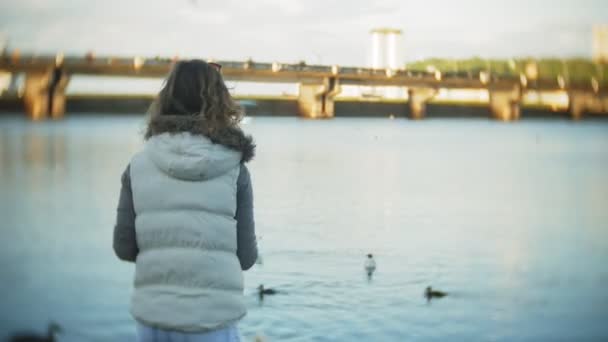 Una joven alimentándose de un lago cisnes y patos Pájaro alimentándose en invierno — Vídeo de stock