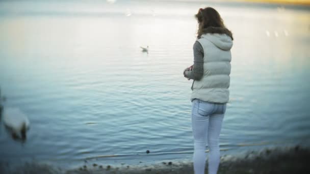 Une jeune femme se nourrissant d'un lac cygnes et canards Oiseaux se nourrissant en hiver — Video