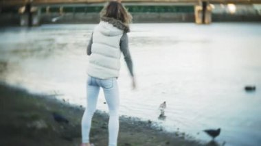 Genç bir kadın bir gölde besleme kuğu ve kışın kuş besleme ördekler