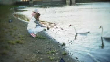 Genç bir kadın bir gölde besleme kuğu ve kışın kuş besleme ördekler