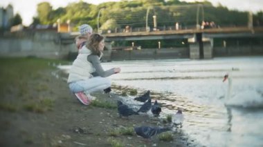 Genç bir kadın bir gölde besleme kuğu ve kışın kuş besleme ördekler