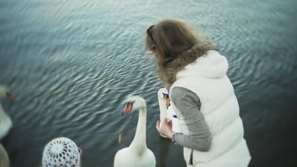 白鳥の湖で餌若い女性と冬の鳥に餌をアヒル — ストック動画