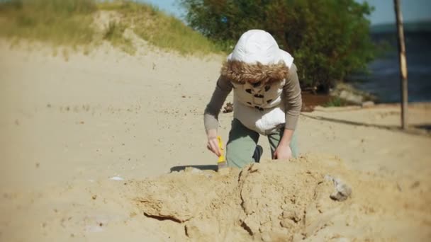 La femme est engagée dans l'excavation des os dans le sable, le squelette et les outils archéologiques . — Video