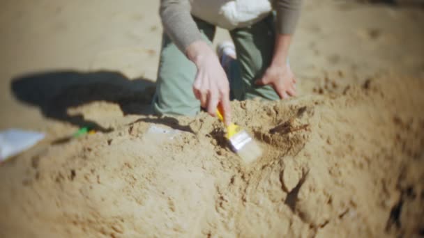 Γυναίκα Ασχολείται Την Εκσκαφή Οστά Στην Άμμο Σκελετός Και Αρχαιολογικά — Αρχείο Βίντεο