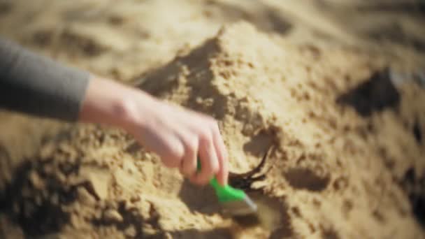 Kvinnan är engagerad i schaktning ben i sand, skelett och arkeologiska verktyg. — Stockvideo