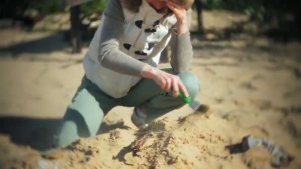 A mulher está envolvida em escavar ossos na areia, esqueleto e ferramentas arqueológicas . — Vídeo de Stock