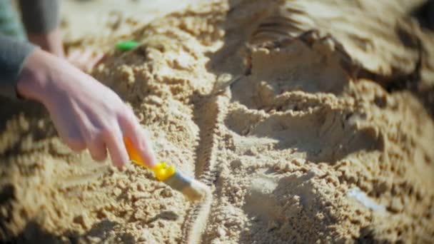 女性は、砂、骨格および考古学的なツールで発掘骨に従事しています。. — ストック動画