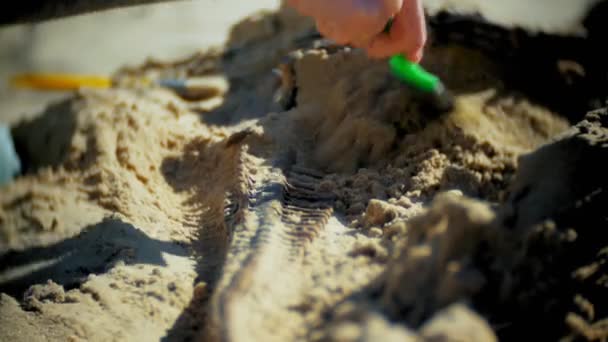 La mujer se dedica a la excavación de huesos en la arena, esqueleto y herramientas arqueológicas . — Vídeos de Stock