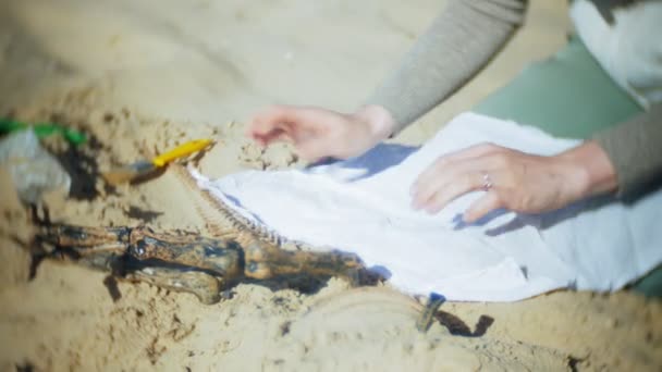 Женщина занимается раскопками костей в песке, скелетов и археологических инструментов . — стоковое видео