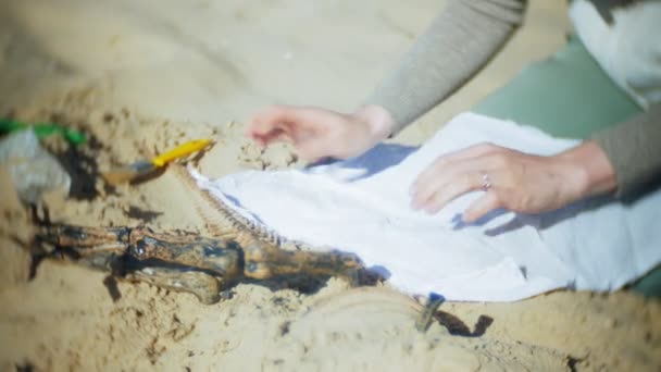 Die Frau ist damit beschäftigt, Knochen im Sand, Skelette und archäologische Werkzeuge auszugraben. — Stockvideo