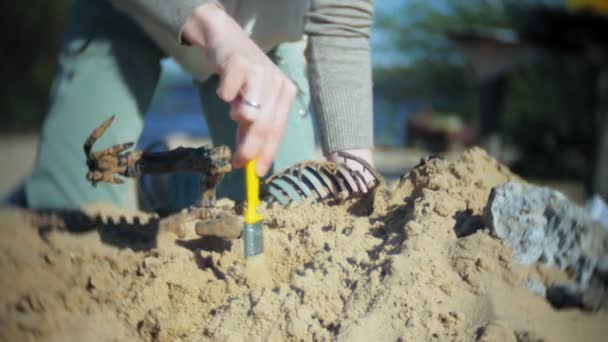 De vrouw is betrokken bij graafwerkzaamheden botten in het zand, het skelet en de archeologische tools. — Stockvideo