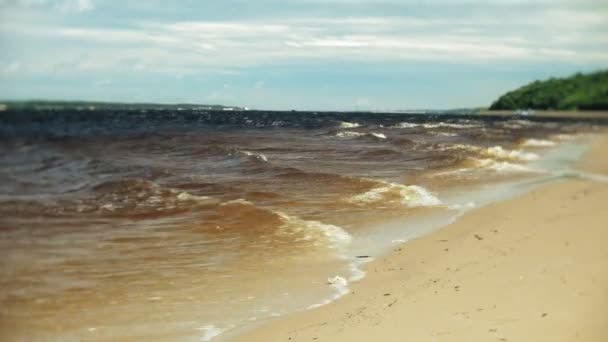 Tarde de verano en la orilla del río — Vídeo de stock