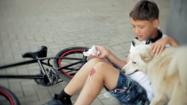 Der Junge sitzt nach einem Sturz vom Fahrrad im Park, beruhigt die Schmerzen im Knie, stellt ein gefährliches Fahrrad dar, das in der Nähe seines Hundes fährt — Stockvideo