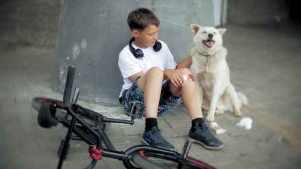 Il ragazzo si siede nel parco dopo essere caduto da una bicicletta, calma il dolore al ginocchio, rappresenta una pericolosa bicicletta vicino al suo cane — Video Stock