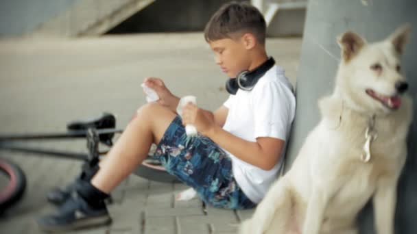 Το αγόρι κάθεται στο πάρκο μετά από πτώση ενός ποδηλάτου, ηρεμεί τον πόνο στο γόνατό του, αντιπροσωπεύει μια επικίνδυνη ποδήλατο κοντά στο σκύλο του — Αρχείο Βίντεο