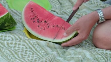 Mutlu aile karpuz yeme bir piknik.