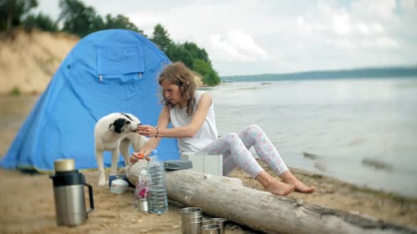 Kvinnor matlagning i plommonstop i camping med tält i bakgrunden. hunden går vid sidan — Stockvideo