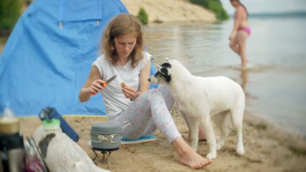 Femmes cuisiner des aliments dans bowler dans le camping avec tente sur le fond. le chien se promène à côté — Video