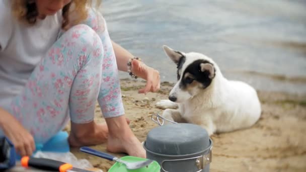 Las mujeres cocinando comida en un boliche en acampada con tienda de campaña en el fondo. el perro camina a un lado — Vídeos de Stock