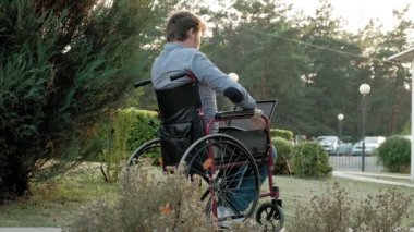 Engelli biri tekerlekli sandalyede oturan ve parkta bir dizüstü bilgisayar üzerinde çalışan