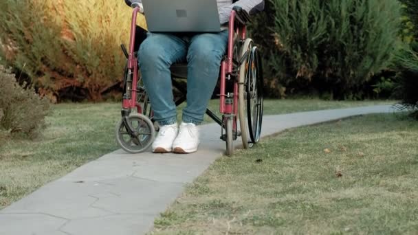 Un disabile è seduto su una sedia a rotelle e lavora su un computer portatile nel parco — Video Stock