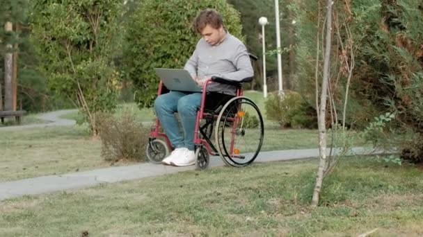 Un hombre discapacitado está sentado en una silla de ruedas y trabajando en un portátil en el parque — Vídeos de Stock