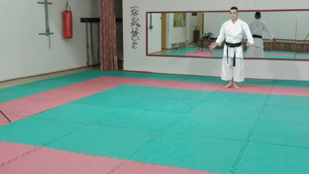 Junger Mann mit muskulösem Körper, der Kampfkunst Goju-Ryu Karate-Do trainiert — Stockvideo